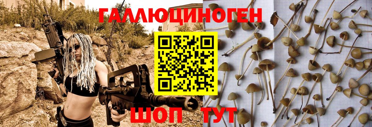 Галлюциногенные грибы MAGIC MUSHROOMS  Галлюциногенные грибы мухоморы  Екатеринбург  Вход с VPN 