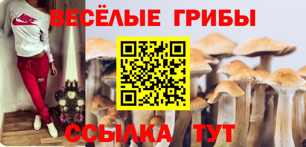 Галлюциногенные грибы ЛСД Екатеринбург